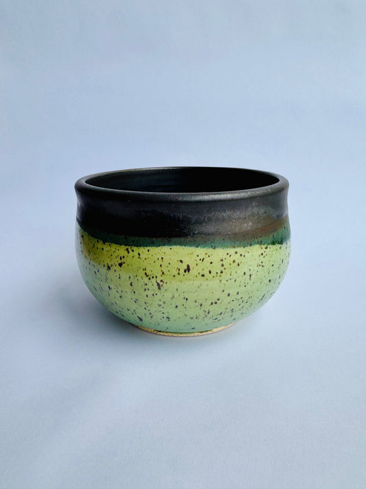 Speckled Green Bowl with Black Interior